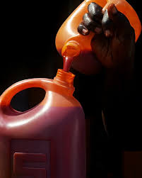 Palm Oil (5L)